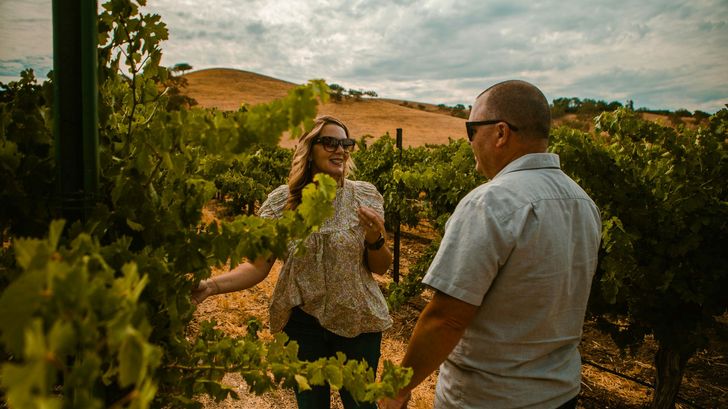 Experience Wolff Vineyard in a Vintage Sidecar - Image 3