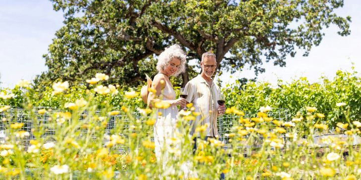 Napa Valley Escape: 2-Night Wine Country Getaway - Image 4