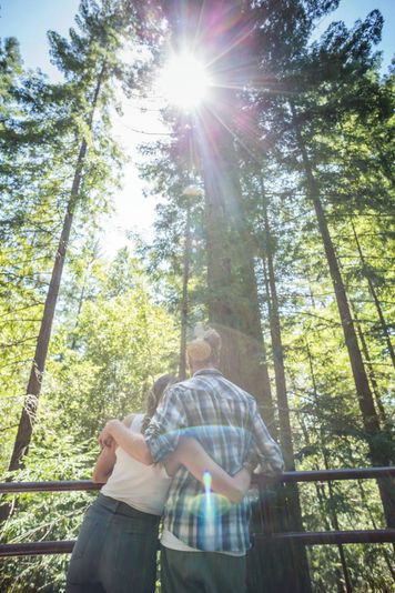 Redwood Hiking Tour & Train Ride with Picnic Lunch - Image 4