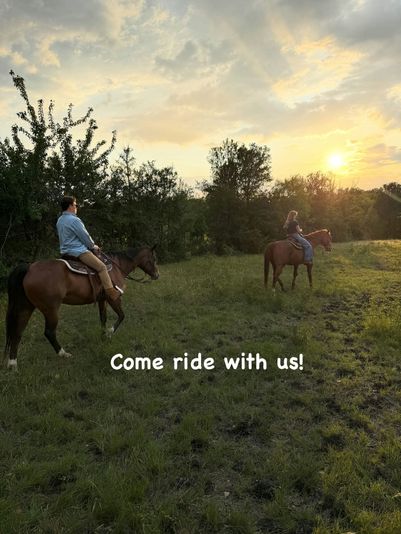 Sunset Horseback Trail Ride in Austin - Image 5