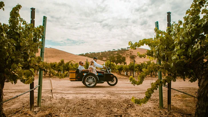 Vintage Sidecar Exploration of Paso Robles