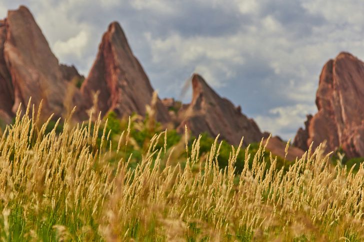 Pike's Peak & Garden of the Gods - Image 2