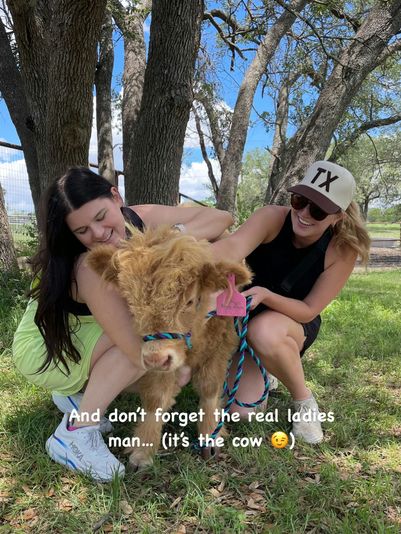 Family Cow Cuddling Experience in Austin - Image 4
