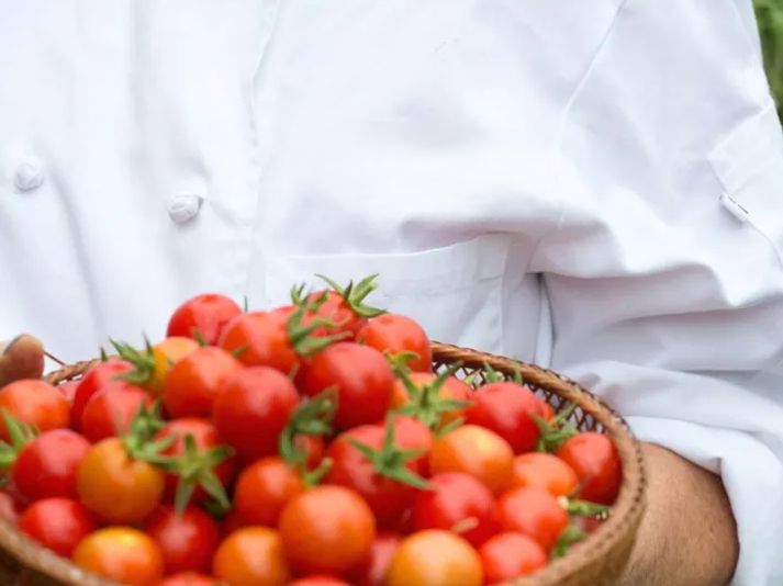 Kids At Home Pasta Cooking Class in San Diego - Image 5