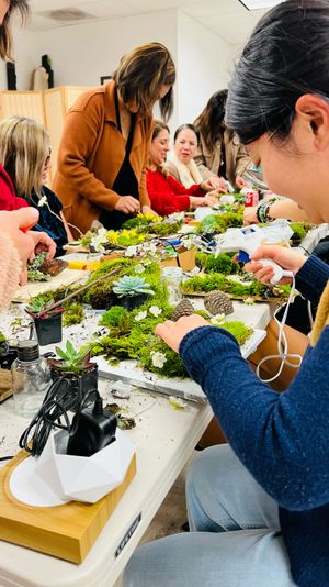 Moss Wall Art Workshop in San Jose