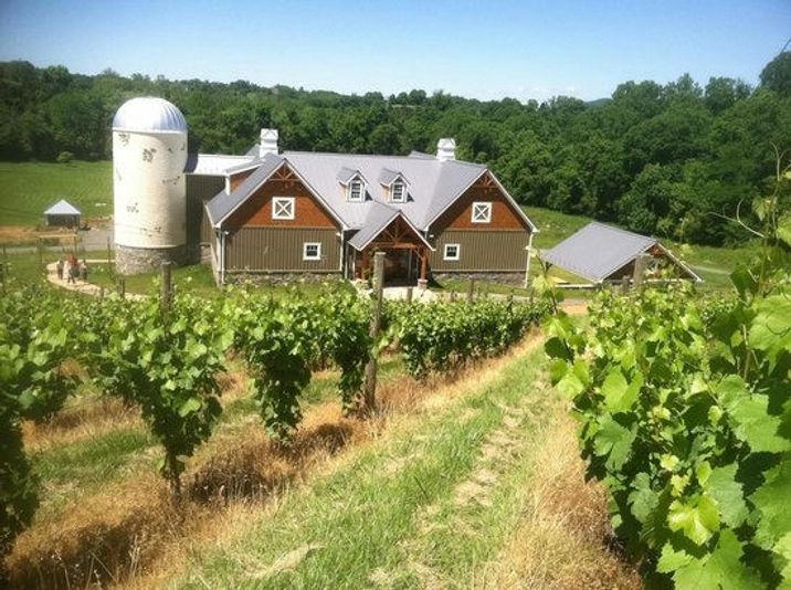 Sunday Funday Brunch and Wine Experience - Image 2