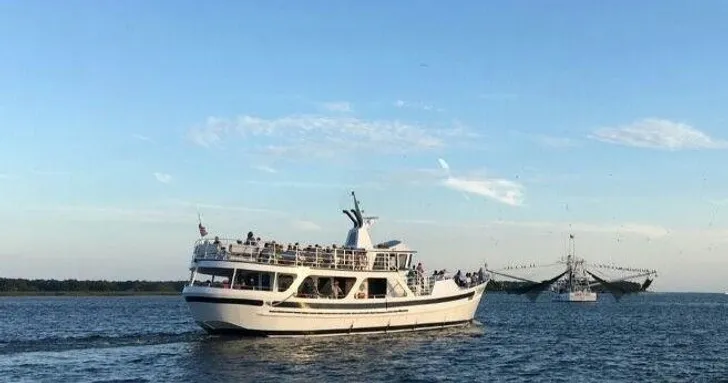 Ocean Dolphin Cruise in Hilton Head