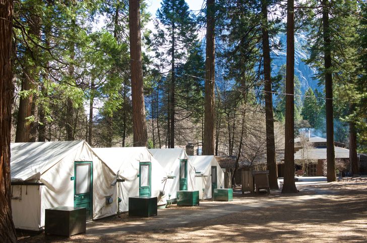 2-Day Guided Yosemite Tour with Curry Village Tent Cabin Stay - Image 5