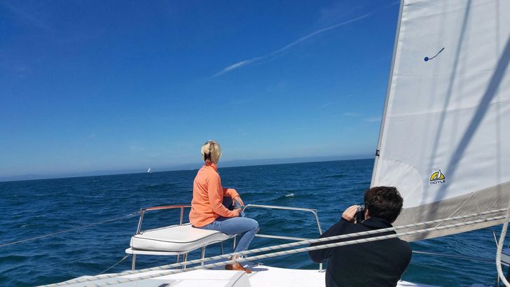 Daytime Catamaran Sailing Cruise