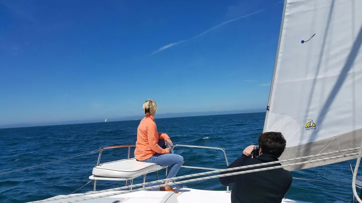 Daytime Catamaran Sailing Cruise