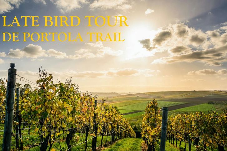 Temecula Valley Wine Country Tour - Image 2