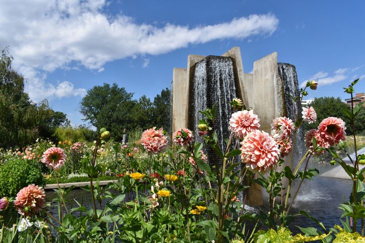 Denver City Private Driving Tour - Image 2