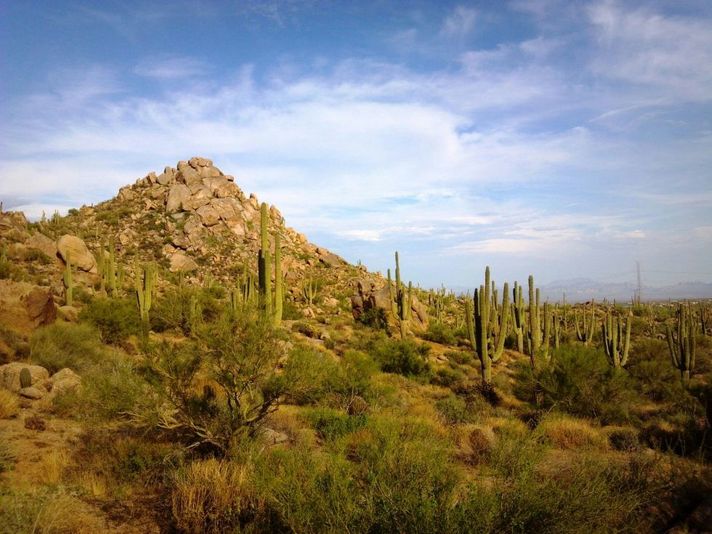 Amazing 2-Hour Guided Hiking Adventure in the Sonoran Desert - Image 2