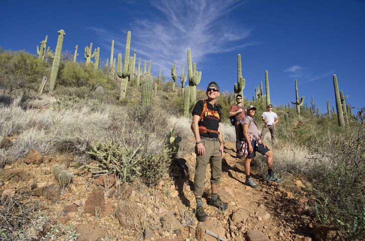 Scottsdale Desert Classic Hiking Adventure - Image 2