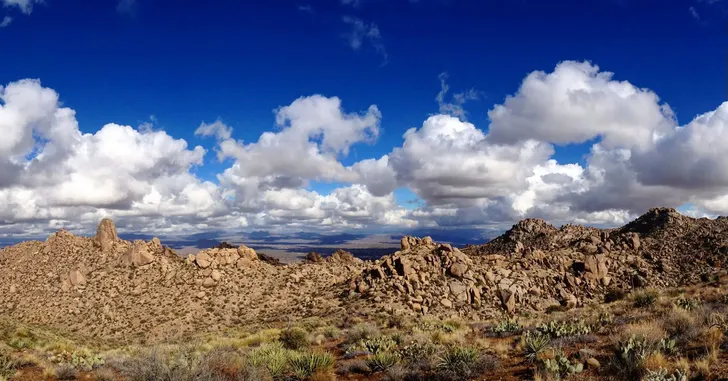 Iconic Tom's Thumb Hiking Adventure in Scottsdale