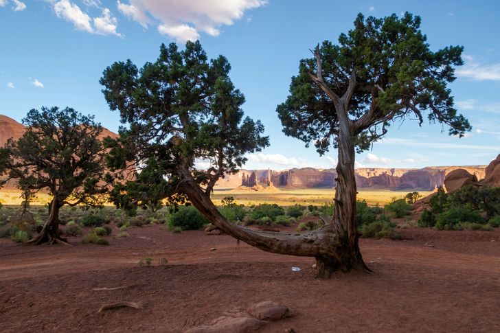3 Day National Park Camping Tour from Las Vegas - Image 10