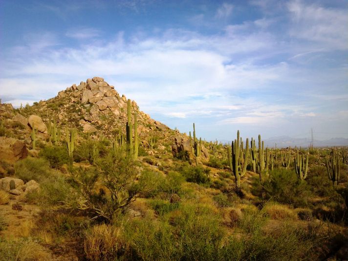 Incredible Hidden Valley Petroglyph Hiking Adventure in the Sonoran Desert - Image 3