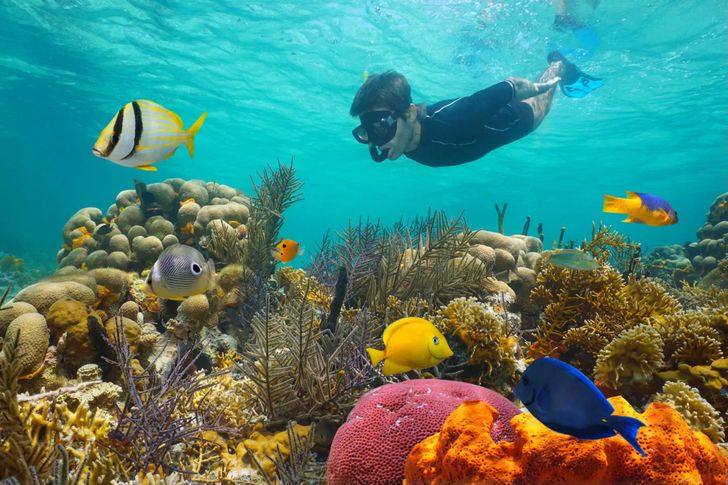 Catamaran Sail & Snorkel with Open Bar - Image 2