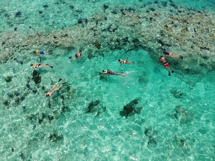 Morning Dolphin Watch  & Snorkel on a Catamaran - Image 1