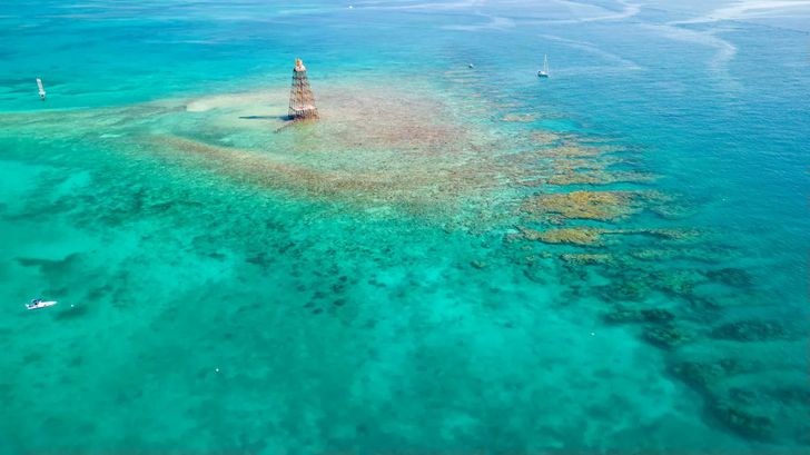 Catamaran Sail & Snorkel with Open Bar - Image 5