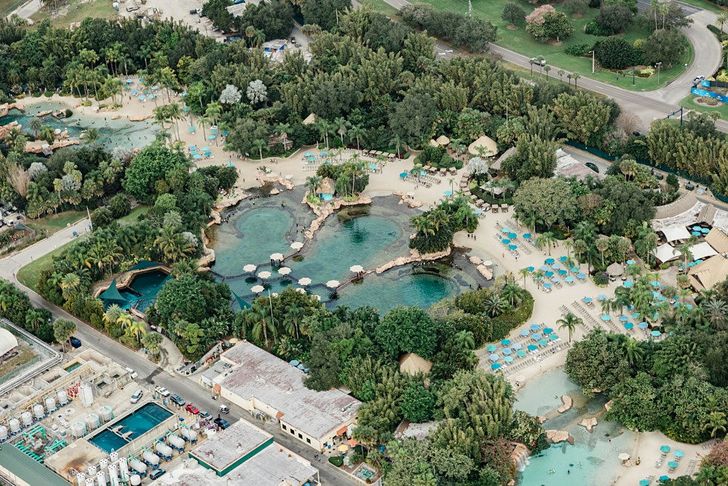 Disney Spectacular Helicopter Tour - Image 4