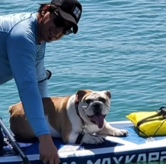 Paws & Paddle Board Rental on Biscayne Bay