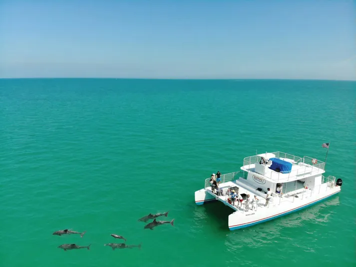 Sunset Dolphin Watch, Snorkeling & Unlimited Beer