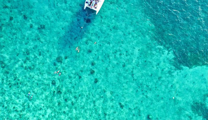 Sunset Dolphin Watch, Snorkeling & Unlimited Beer - Image 2