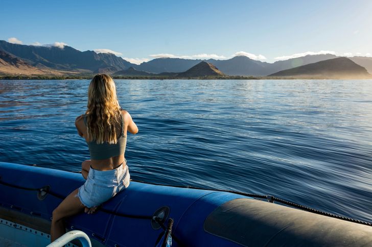 Speedboat Tour & Swim with Dolphins plus BYOB
