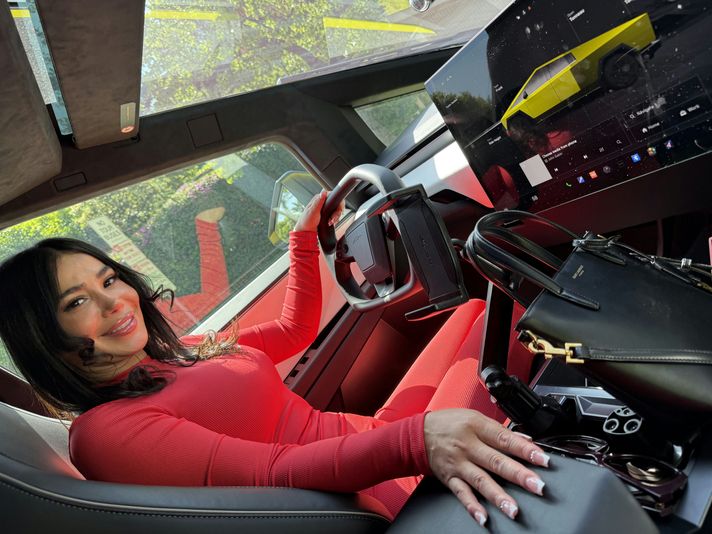 Ride or Drive a Cybertruck: 50-Minute VIP Hollywood Sign Tour - Image 4