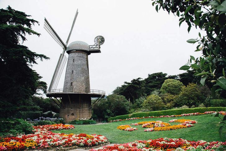 Golden Gate Park Walking Tour