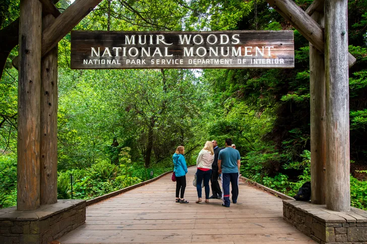 Muir Woods Tour From San Francisco