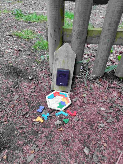 Williamsburg Forest Escape Game with Go Ape - Image 4