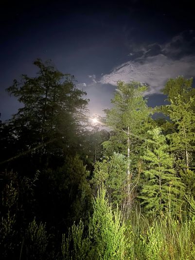 Dark Sky Jeep Tour - Image 4