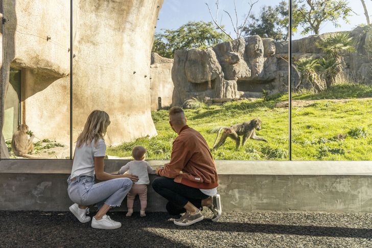 Go City San Diego Explorer Pass - 3 Attractions - Image 3