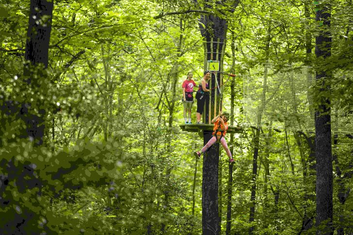 Arlington Zipline & Treetop Adventure with Go Ape - Image 3