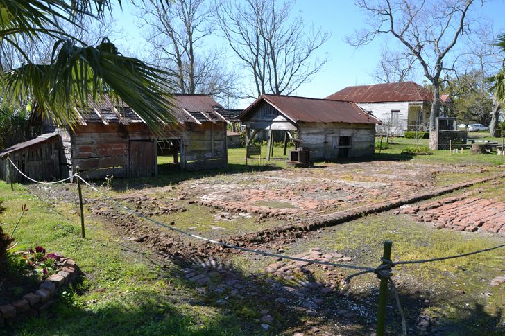 Oak Alley Plantation + Small Airboat Swamp Tour - Image 3