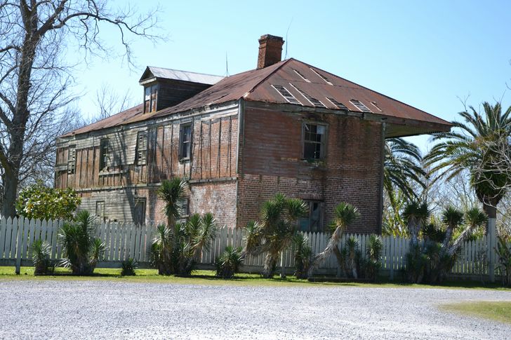 Oak Alley Plantation + Covered Boat Swamp Tour - Image 5