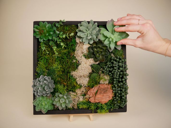 Moss Wall Art Kit - Image 6