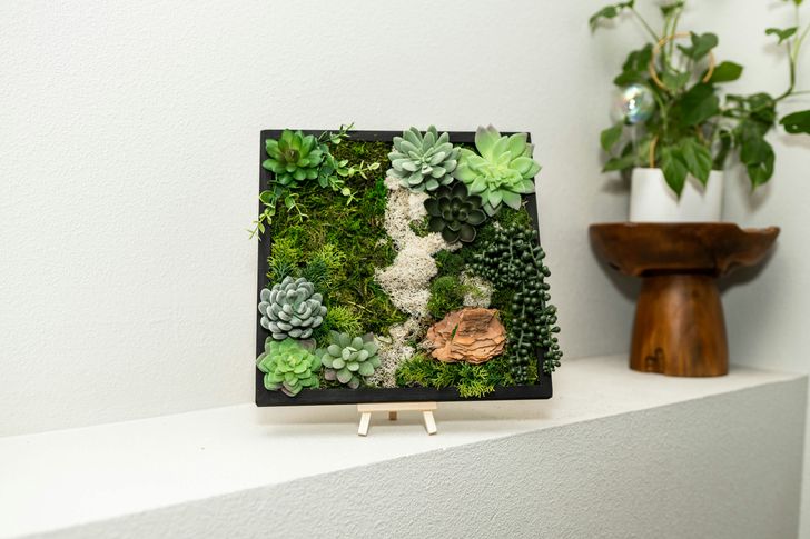 Moss Wall Art Kit - Image 1