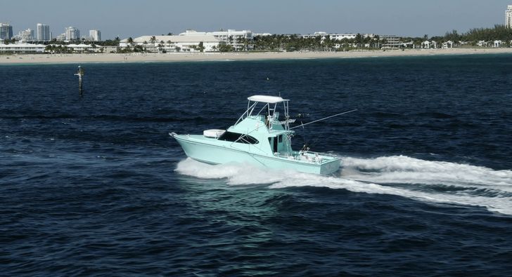 Big Game Sport Fishing - Image 3