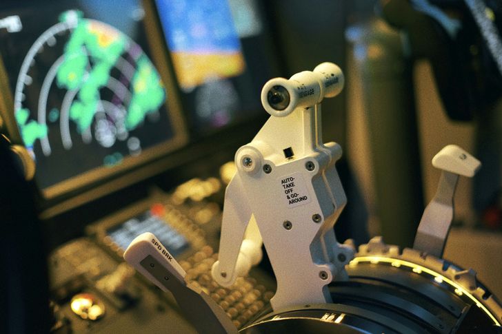 Boeing 737 Max Economy Flight Simulator Experience - Image 5