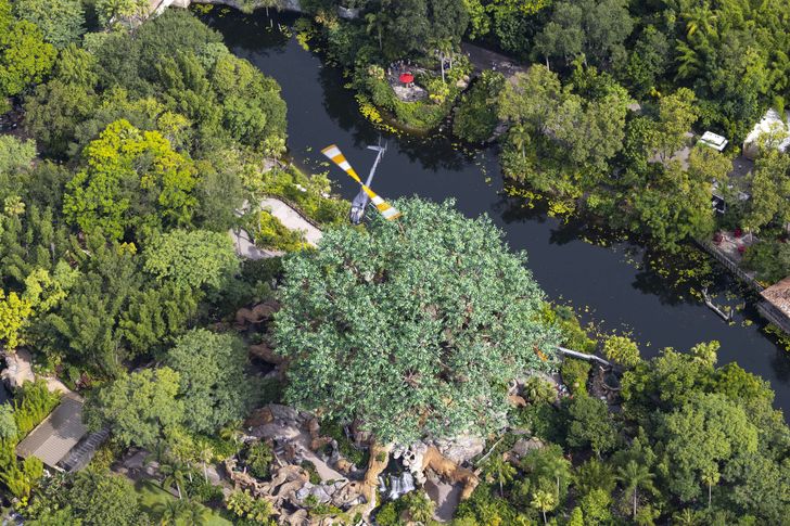 Private Downtown Orlando & Theme Parks Helicopter Tour - Image 4