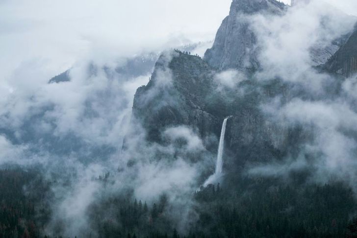 Yosemite Day Tour from San Francisco - Image 6