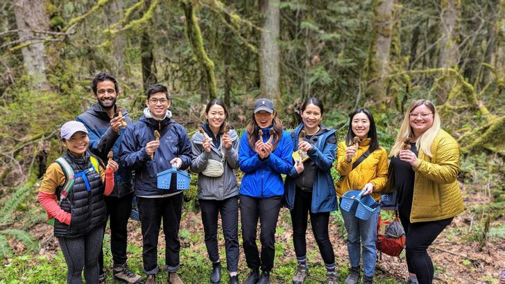 Seattle Mushroom Foraging 101 - Image 3