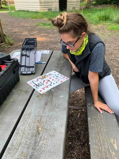 St. Louis Forest Escape Game with Go Ape