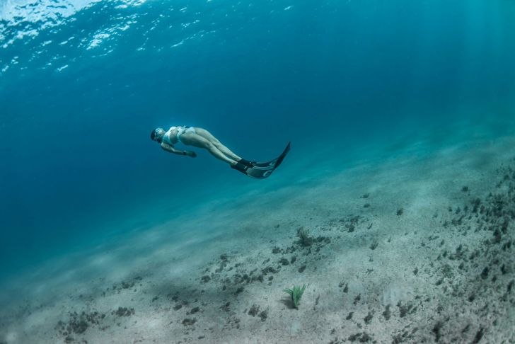 Discover Freediving Experience