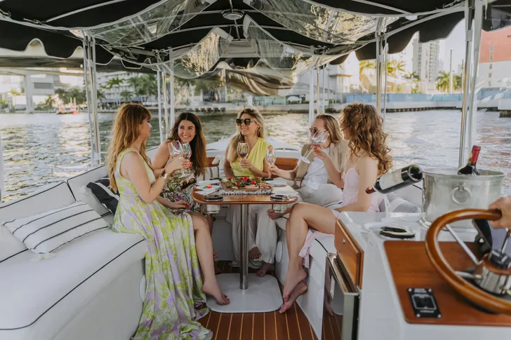Private E-Boat Cruise with Wine, Charcuterie, and Manatee Spotting in Miami
