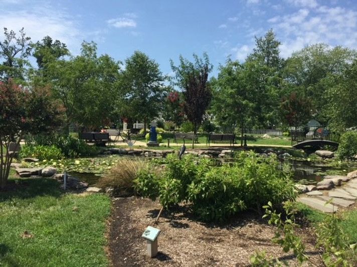 North Beach Historic Guided Walking Tour - Image 5