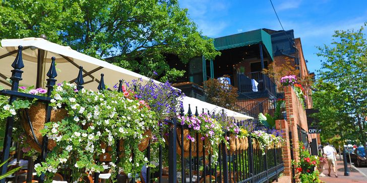 German Village Family Mystery Picnic - Image 1